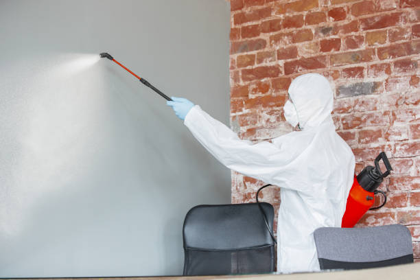 Best Airborne Mold Testing  in Highland, CA