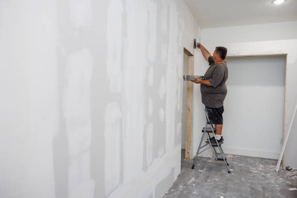 Best Mold Damage Restoration  in Highland, CA
