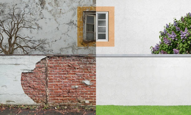 Best Mold Remediation for Healthcare Facilities  in Highland, CA
